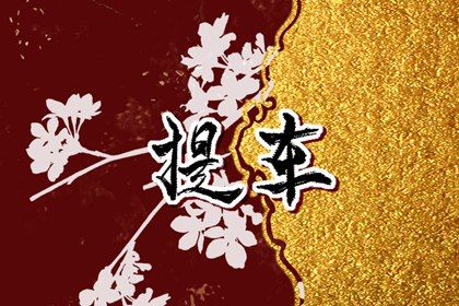 2025年06月10日提车行吗? 今日提车有问题吗?