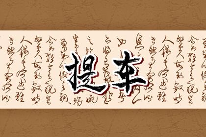 2025年07月09日提车是上上吉时吗? 提车买车有问题吗?