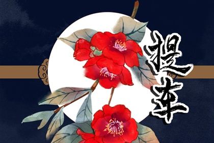 2025年08月19日是否宜提车? 今日买新车好吗