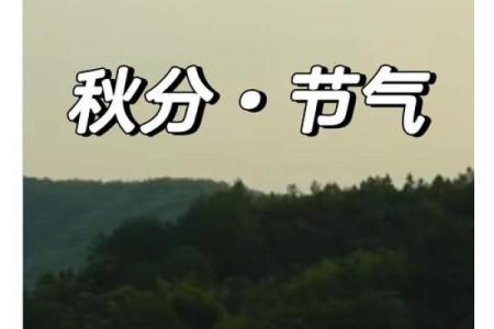 秋分：昼夜平衡，探索自然与人类生活的和谐