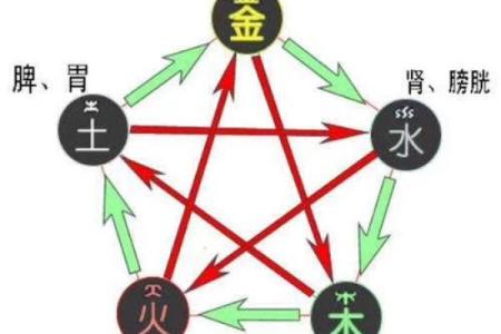 性格解析新视角:五行格局教你读懂自己