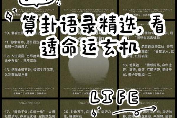 理数字的深层玄机，原来命运早已注定