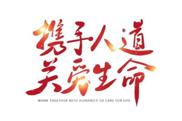 国际红十字日，关注人道主义精神与社会责任
