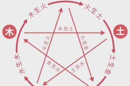 如何改变：火木五行格局，教你如何扭转命运走向