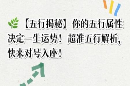 重字五行属金？揭秘你的五行格局与性格特征