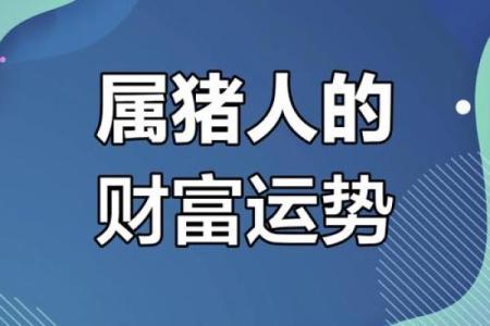 性格解析大揭秘:猪在五行中的独特格局,你了解多少?