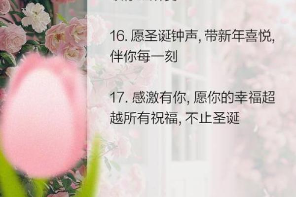 圣诞节：温馨相伴，享受节日养生美好