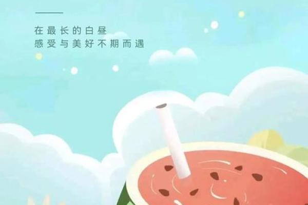 夏至：品味夏日，感受阳光与自然