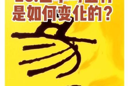 如何改变五行格局?揭秘你的职业天赋与潜能