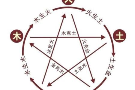 莘字五行格局揭秘:如何洞察莘之性格解析与人生走向
