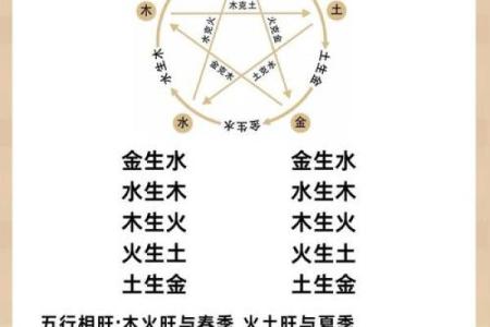 朱祖夏性格解析：五行理论如何颠覆传统认知，改变你的生活轨迹