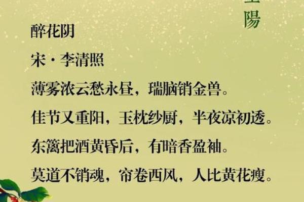 重阳：登高望远，弘扬敬老爱老传统