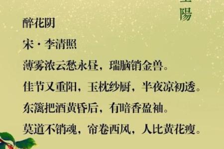 重阳：登高望远，弘扬敬老爱老传统