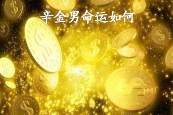 杜淳的八字命理误区：为何命运反而被这些细节影响？