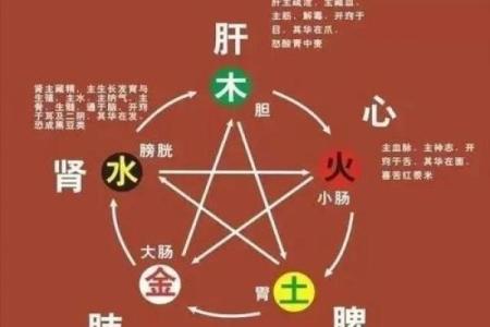 滕五行格局误区大揭秘:你真的了解自己的五行属性吗?