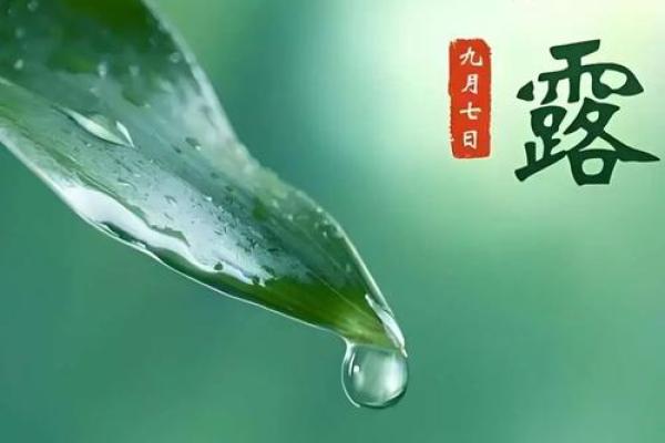 白露节气：秋意渐浓，养生护体正当时