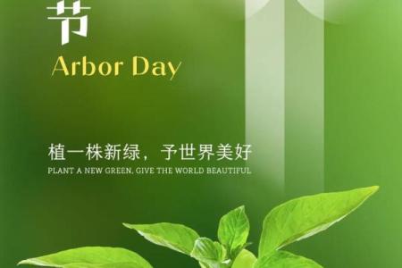 植树节：绿意盎然，守护自然环境