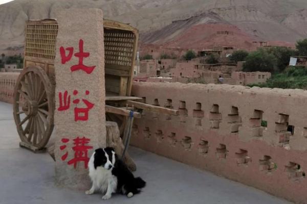 新疆古尔邦节：敬天祭祖，感受信仰与传统的融合