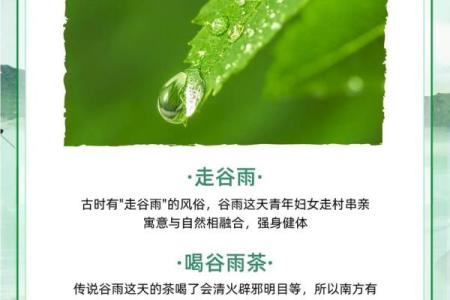 谷雨：春雨润物，农业与自然的和谐之美