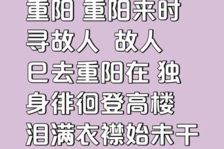 重阳：登高望远，感悟自然与生命