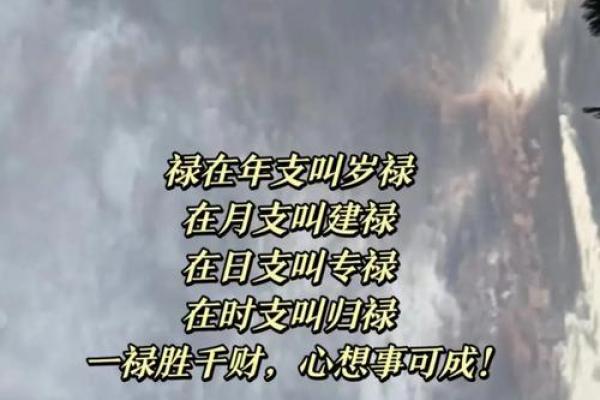 八字命理中的命运密码，如何抓住隐藏的机遇
