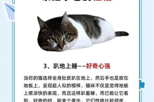 洁字五行颠覆传统：揭秘性格解析的反面教材