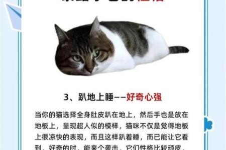 洁字五行颠覆传统：揭秘性格解析的反面教材
