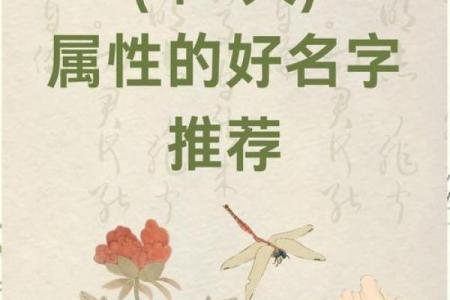 名字测五行:揭秘性格解析,如何通过名字改运?