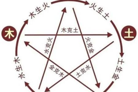 反转命运密码:1979年出生者的五行格局与性格解析