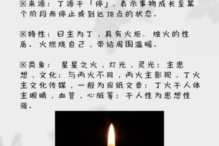 寅月命理中的命运密码:如何避开常见误区,迎接更好的未来