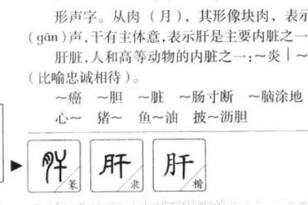 五行格局新解:久字背后的性格密码,如何巧妙运用?