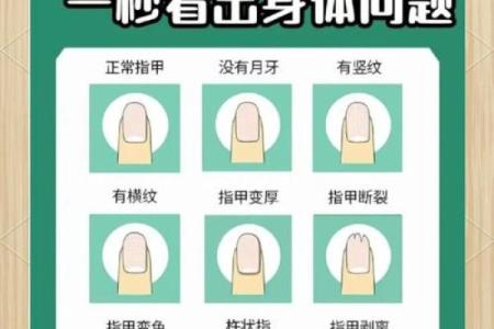 美甲五行格局解析:反而从你的指甲看出,如何调整你的生活状态?