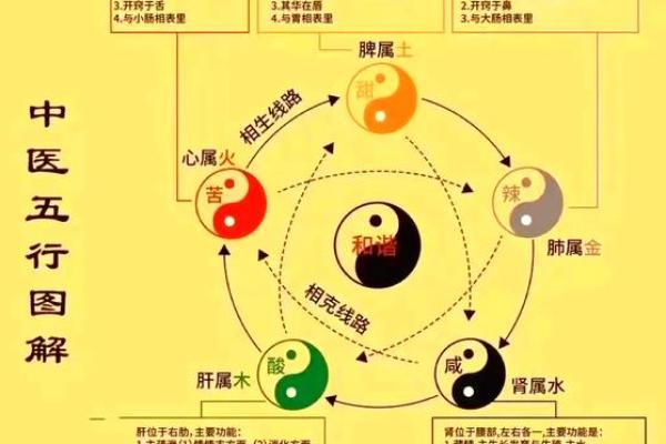 胃五行格局揭秘：性格解析，如何改变你的饮食与健康？