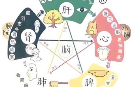 胃五行格局揭秘:性格解析,如何改变你的饮食与健康?