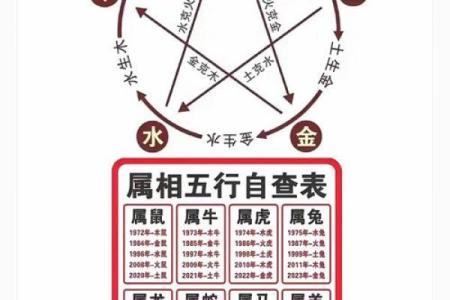 五行格局深度解析:91年出生者的性格密码与转变之道