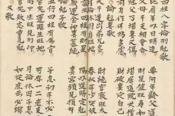 希特勒命运密码揭秘：如何通过八字解读其成功与毁灭的背后玄机