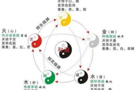 航行五行格局颠覆传统:揭秘你的性格如何影响人生方向