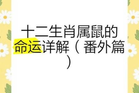 五行格局解码生肖鼠:揭秘你的性格密码与命运走向