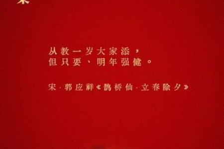 春节：岁月如歌，感悟春节的文化传承