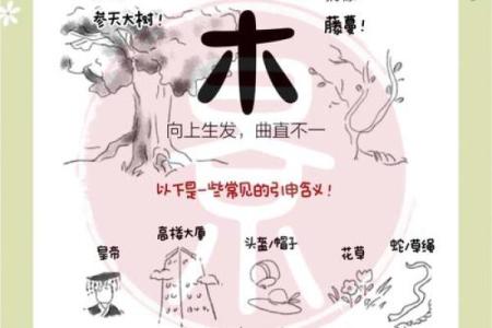 五行误区大揭秘:你以为的五行,其实反而不对