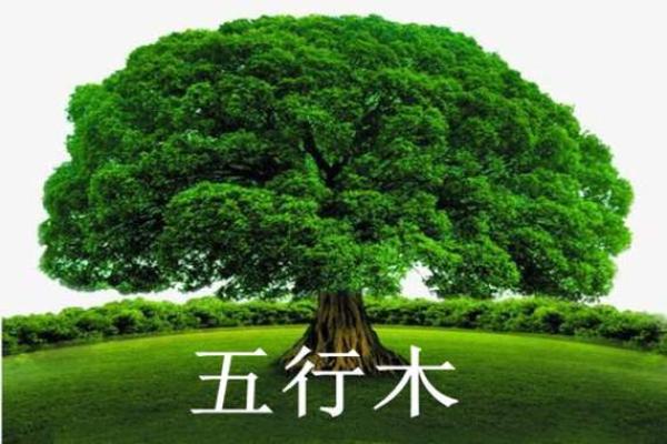 五行格局误区大揭秘：木属性的你为何反而不木？