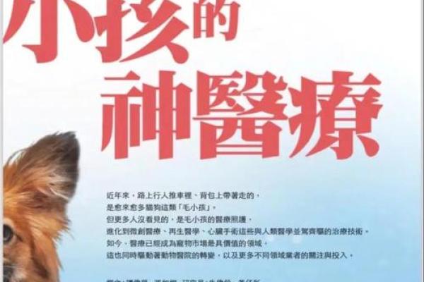 世界宠物日，关爱宠物健康与生活品质