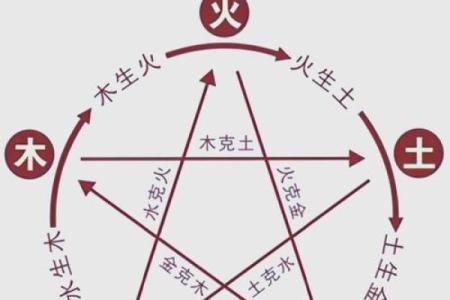 性格解析新视角:七画五行属木,揭秘你的独特格局与改变之道