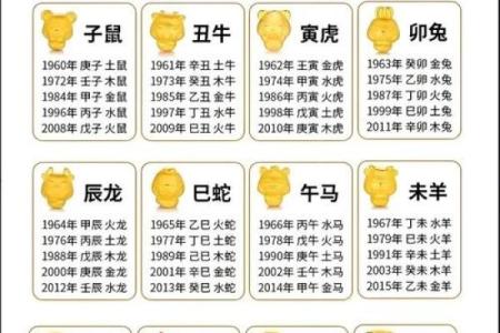 你的鞋店五行属什么?一招破解五行格局,提升店铺运势与人气
