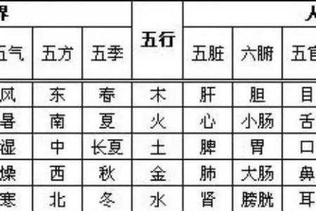 53年五行属什么?性格解析:如何通过五行改变格局