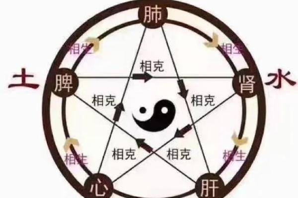 五行格局中的属土性格：揭秘你的性格密码，如何优化人生？