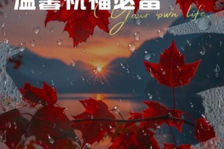 圣诞节:在节日的光辉中,感悟爱的文化传递