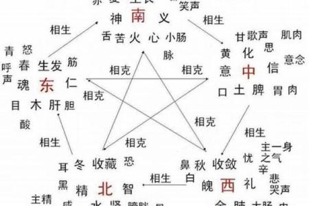 1993年属土命,颠覆传统五行格局,你的性格如何解读?