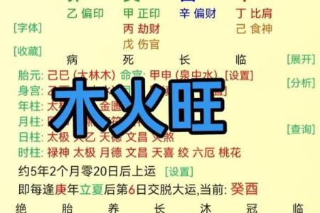 解锁五行格局：卢五行性格如何找到最佳改变路径？