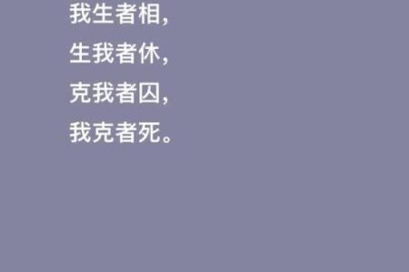 五行误区大揭秘：土旺格局反而能助你成功？